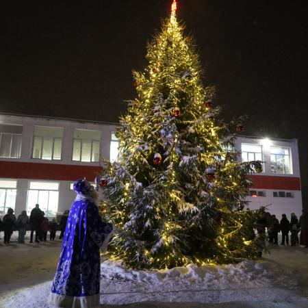 Посмотреть крупнее